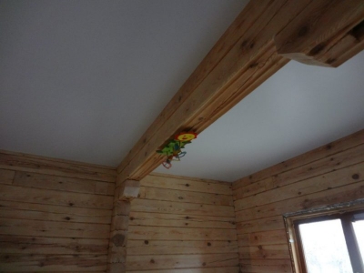 Одноуровневый тканевый натяжной потолок в гостиную частного дома